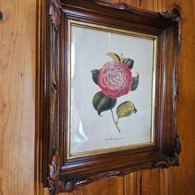 Vintage framed rose botanical print