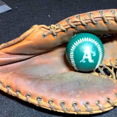 Wilson professional