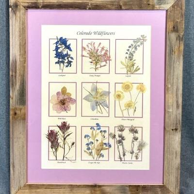 Colorado Wildflowers By Blossom’s “ Pressed Flower Creations”