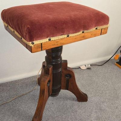 Organ stool