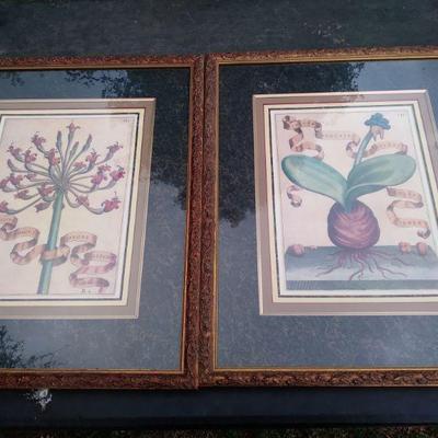 Decorative prints