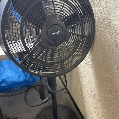 Fan