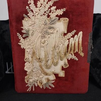 DS015 - Antique Velvet Photo Album and Photographs 