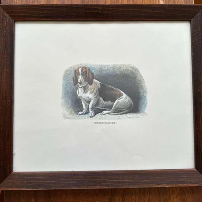 Framed Vintage Illustration of a French Basset
