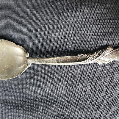 Wallace Sterling Jelly Spoon