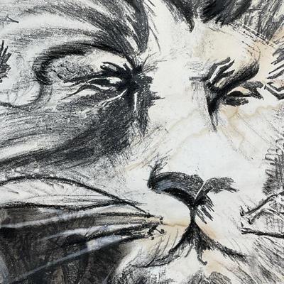 Lion Head, Charcoal Drawing on Paper
