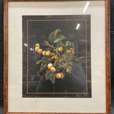 Framed Apricot Tree Lithograph
