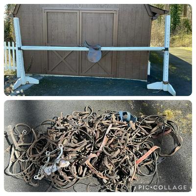 Equestrian Jump, English Saddle, & Tack