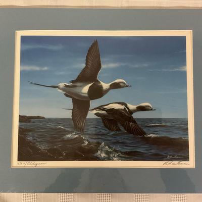 Robert Hautman “Oldsquaw” Signed Numbered Print