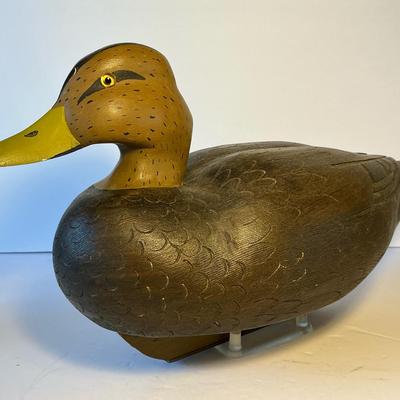 J. Hill Black Duck Decoy (DD34)