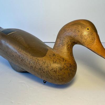 1950’s Carved Signature Duck Decoy (DD19)