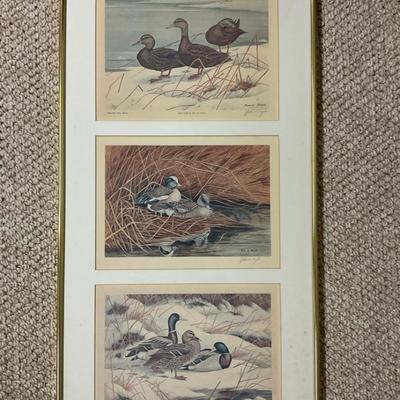 John W. Taylor Signed Newspaper Prints