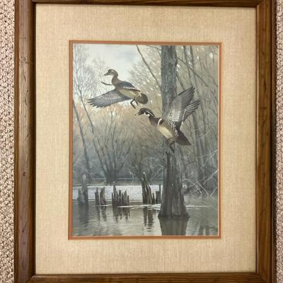 Lee LeBlanc Wood Duck Print Framed