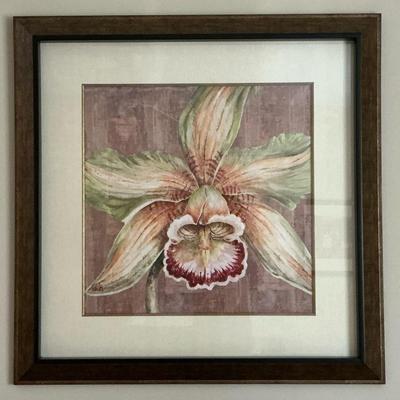 Large Framed Decorative Orchid Print