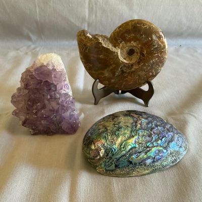 Amethyst And Ammonite 