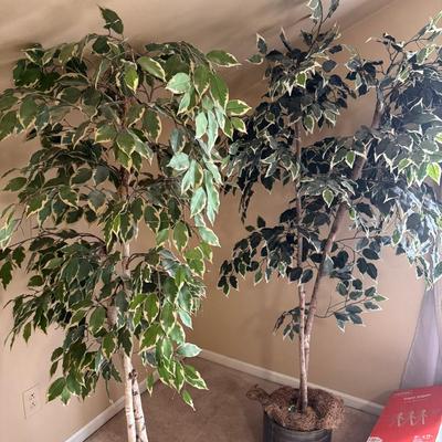 Lot 265: Pair Of Artificial Ficus Trees