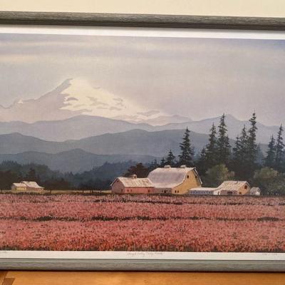 Ann ritter skagit valley tulip fields print