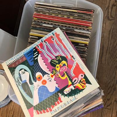 Vintage vinyl records—mostly 70s and 80s—talking Heads, Bruce Springsteen, Bob Dylan, Cheap Trick, The Clash, Roxy Music, Prince, Little...