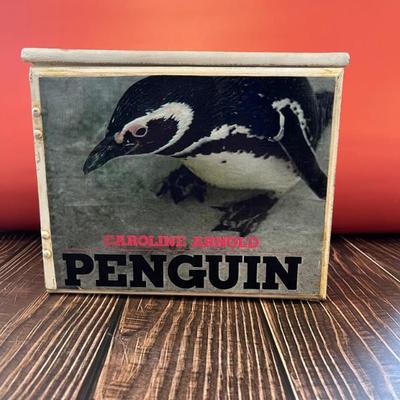 Folk art, outsider art penguin shadow box sculpture by Stuart Novy, found objects, wood and tempura
