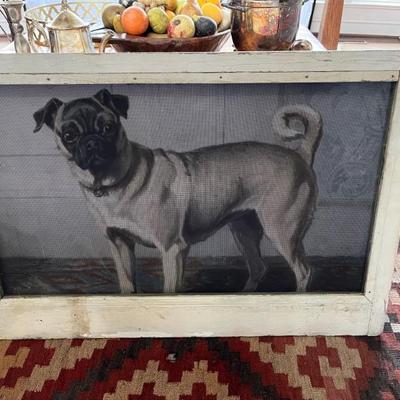 adorable pug picture