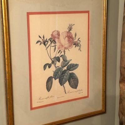Great selection of framed artwork 