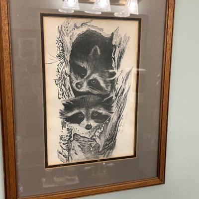 Raccoons Framed Artwork 