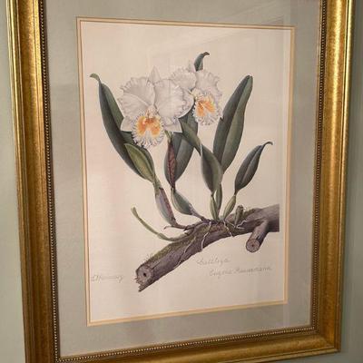 Great selection of framed artwork 
