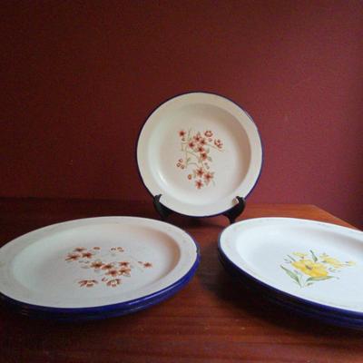 Tres Enamel Ware Floral Plates 