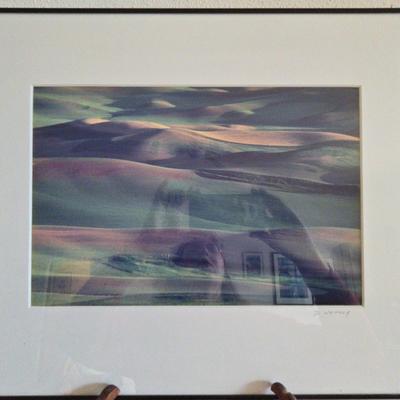 D. Whitney Artist 