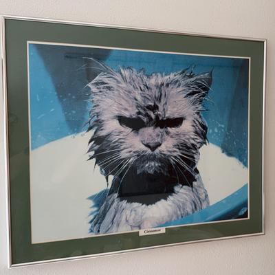 Wet Cat-Cinnamon