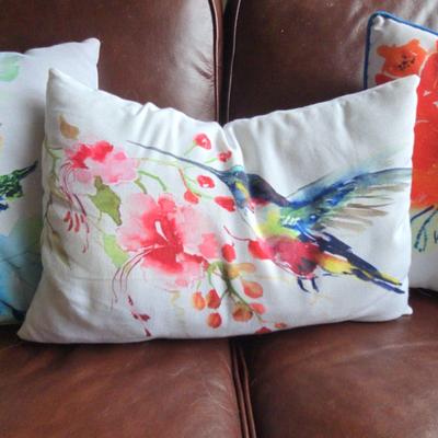 Vibrant Decor Pillows 