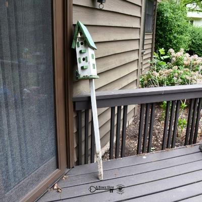 15 back yard 2)