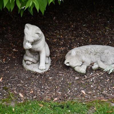 15 back yard 20)