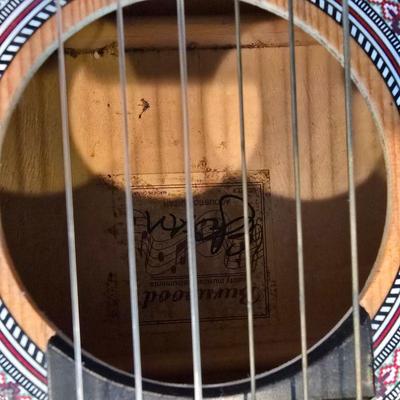 Guitar