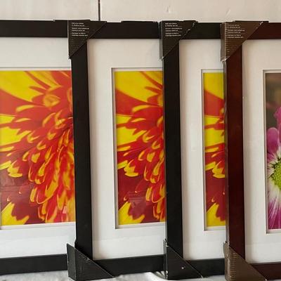 New Frames From Michaels  Matted With Glass (5)