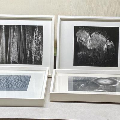Black & White Photography #2