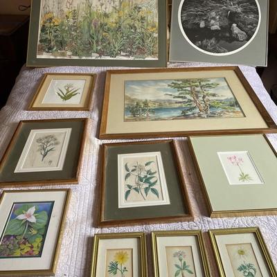 Botanicals  (11) Framed And Matted Various Sizes