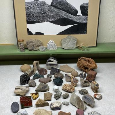 Rocks, Fossils, & Art