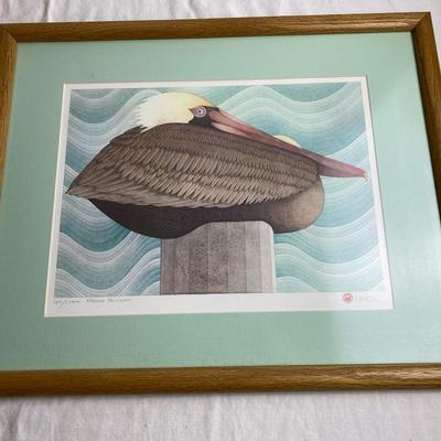 Brown Pelican Lithograph