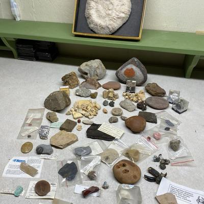 Rocks & Fossils