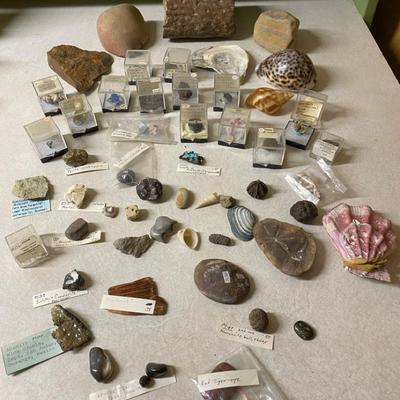 Rocks & Shells