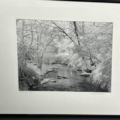 Chuck Bress Sighed Black & White Photograph "After The Storm"  - Framed 20x16
