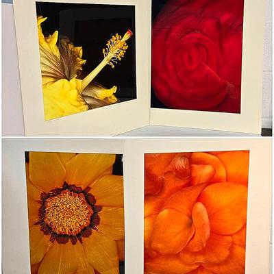 Chuck Bress Photography: Floral Macro Photos (4), Matted 20x24” Lot 4
