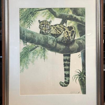 Guy Coheleach Print “Clouded Leopard”, Framed 32.5x26.5, Initialed