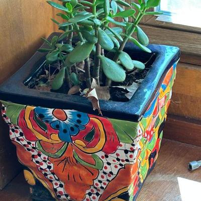 Indoor/Outdoor Planter and Plants 