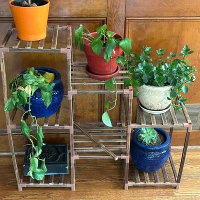 Indoor/Outdoor Planter and Plants 