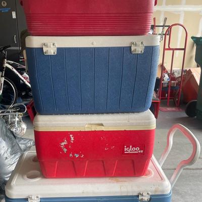 Igloo Coolers & More! 