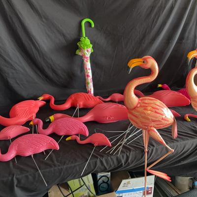 Pink Flamingos