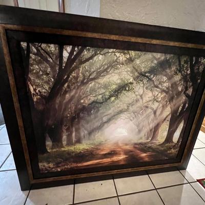 Forest Pathway
