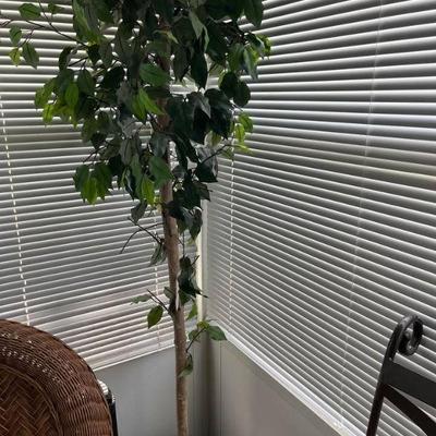 Artificial Plant